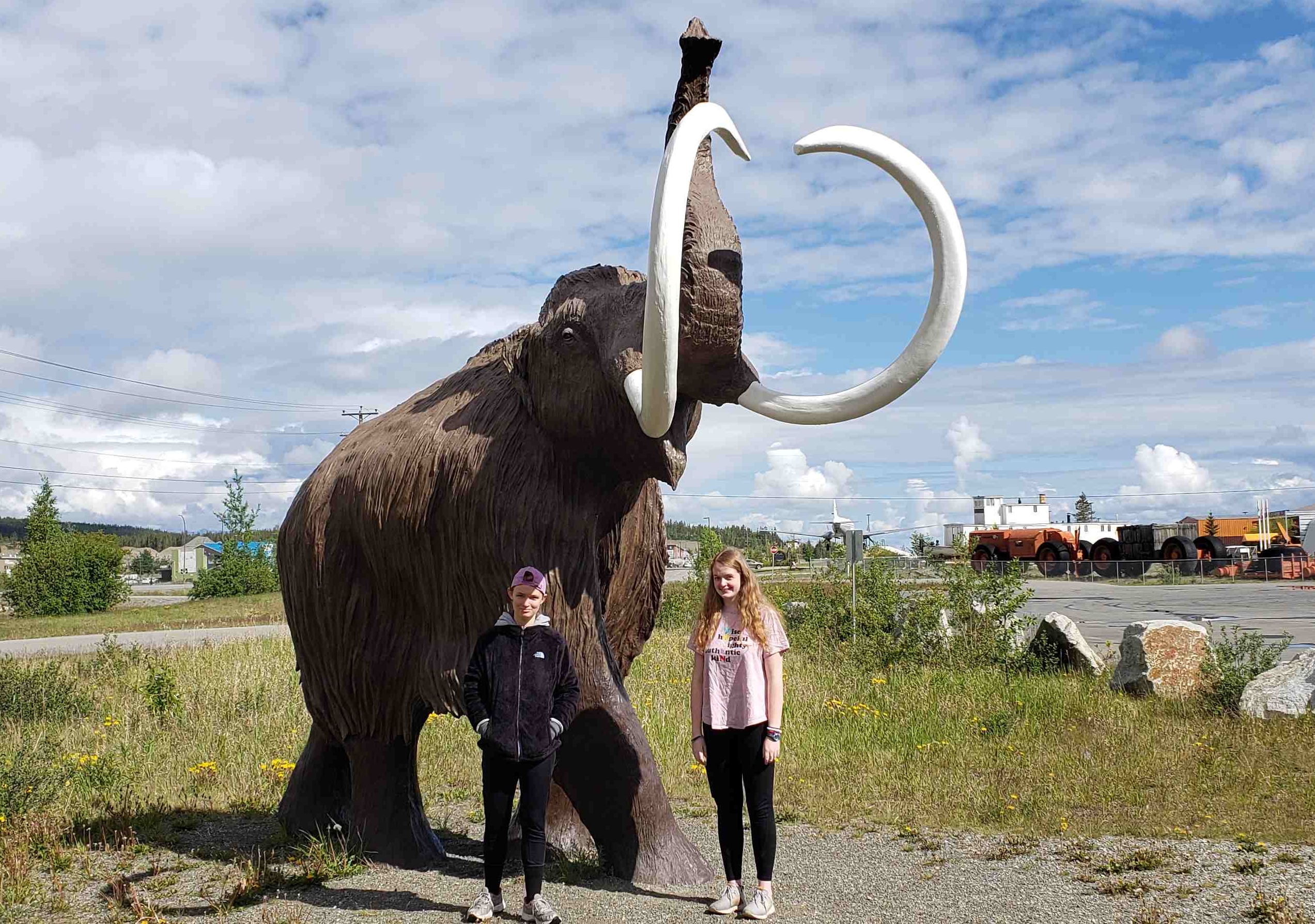 2019-06-10 ALCAN Whitehorse Mamouth